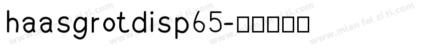 haasgrotdisp 65字体转换